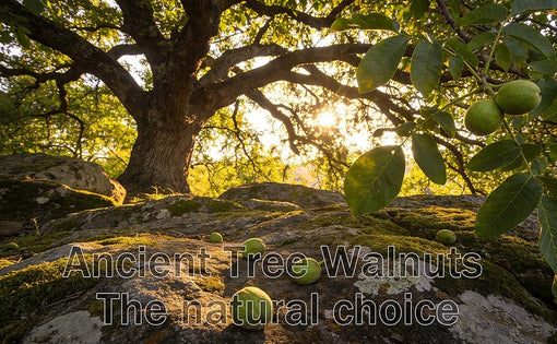 Chinese Meditation Walnuts: The Ancient Art of Hand-Held Mindfulness