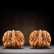 Yanqing Toad Head Playing Walnuts — Classic Popular Edition. Fast Color. Full Character. Ready to Play.