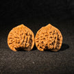 Prince Hat Wenwan Walnuts — One of the Four Famous Walnuts. Elegant Shape. Fast Patina. Daily Play.
