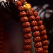 108 Bodhi Seed Mala with Wealth & Luck Tassel for Meditation