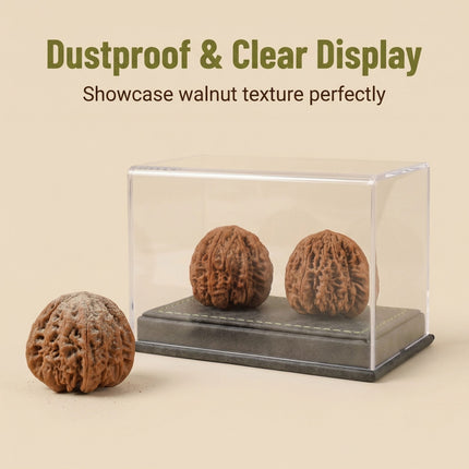 Dustproof Dual Walnut Showcase — High-Clarity Acrylic with Grey Suede Base