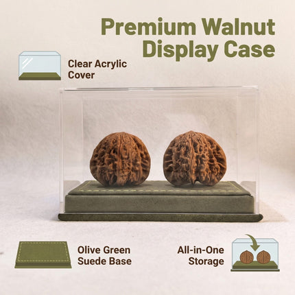 Dustproof Dual Walnut Showcase — High-Clarity Acrylic with Grey Suede Base
