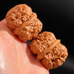 Yanqing Toad Head Playing Walnuts — Classic Popular Edition. Fast Color. Full Character. Ready to Play.