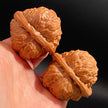 Yanqing Toad Head Playing Walnuts — Classic Popular Edition. Fast Color. Full Character. Ready to Play.