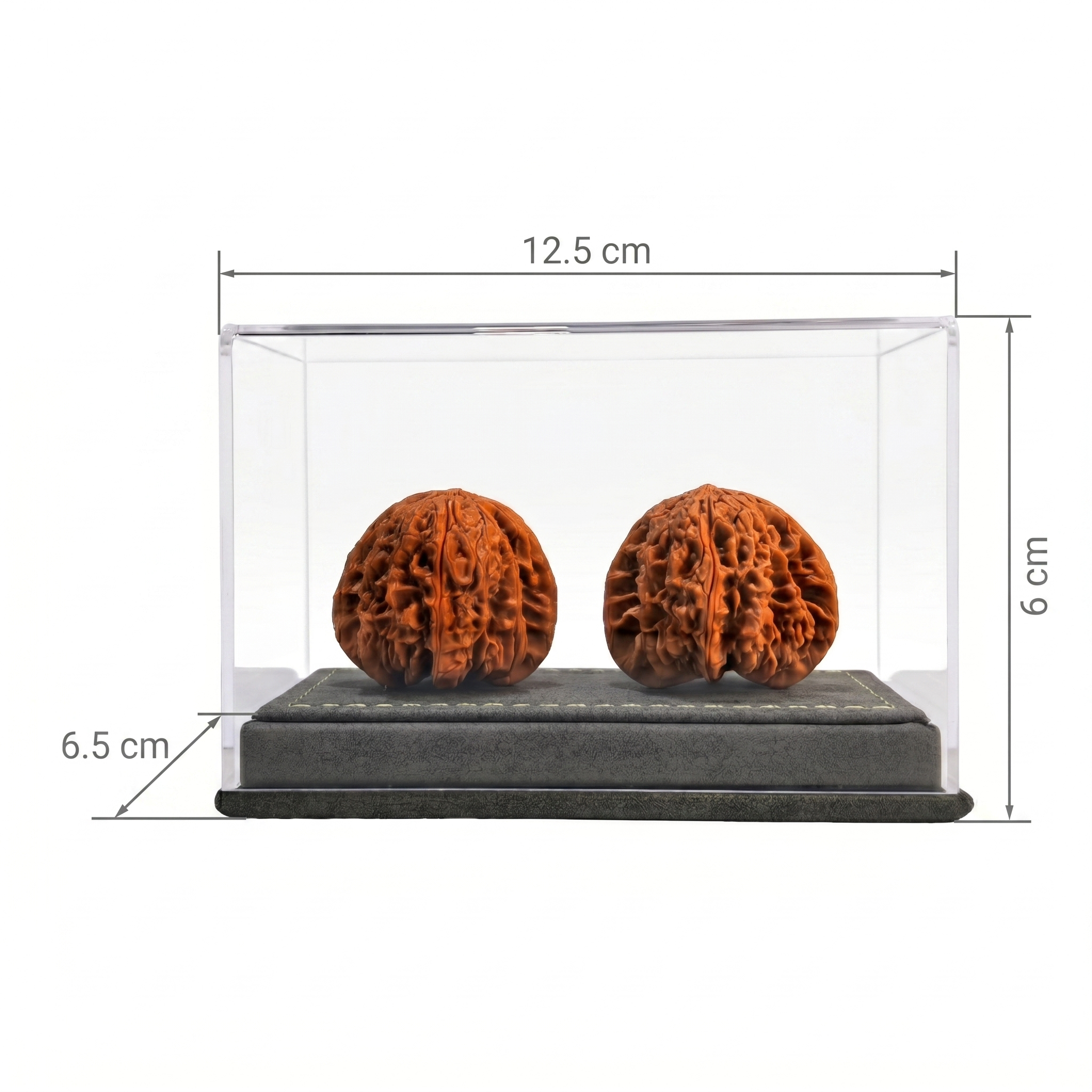 Dustproof Dual Walnut Showcase — High-Clarity Acrylic with Grey Suede Base
