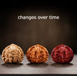 Premium Natural Color Chinese Wenwan Walnut Pair — Stress Relief. Meditation. Natural Patina.