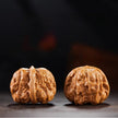 Yanqing Toad Head Playing Walnuts — Classic Popular Edition. Fast Color. Full Character. Ready to Play.