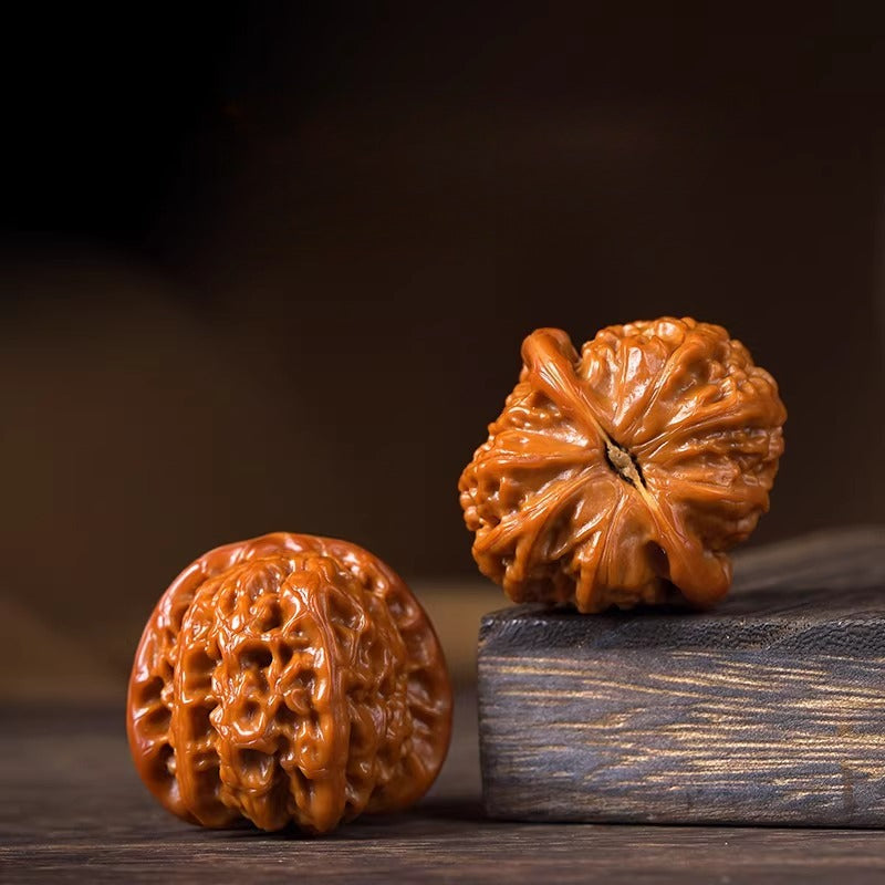 White Lion Head Playing Walnuts — Beginner Edition. Fast Color. Easy Start. Rewarding Patina.