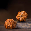 White Lion Head Playing Walnuts — Beginner Edition. Fast Color. Easy Start. Rewarding Patina.