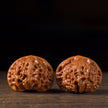 Premium “Lion Head” Chinese Wenwan Walnut Pair — Stress Relief. Hand Therapy. Meditation. Natural Patina
