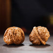 Yanqing Toad Head Playing Walnuts — Classic Popular Edition. Fast Color. Full Character. Ready to Play.