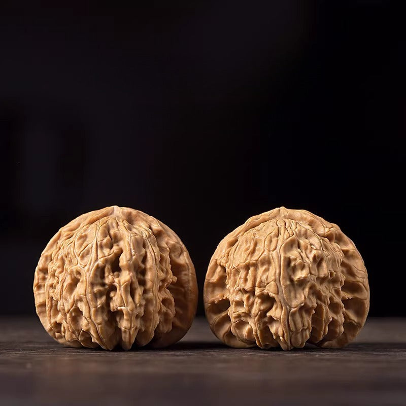 White Lion Head Playing Walnuts — Beginner Edition. Fast Color. Easy Start. Rewarding Patina.