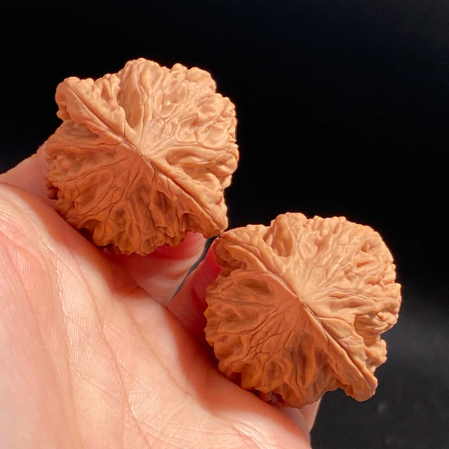 Old Tree Chicken Heart Wenwan Walnuts — One of the Four Famous Walnuts. Traditional Classic. Dense Structure. Stable Patina.