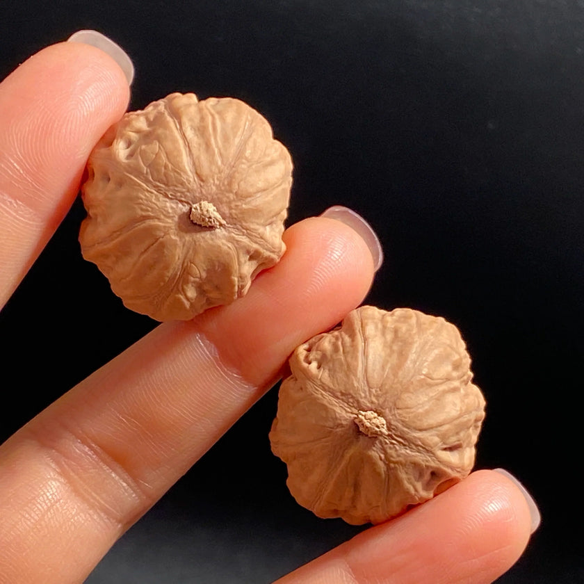 Mini Hand-Rolled Qiu Zi Walnuts — Compact Wild Mountain Walnuts. Raw Texture. Daily Carry. Natural Patina.