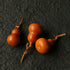 Mini Aged Gourd — Small. Quiet. Aged by Sun, Not by Rush