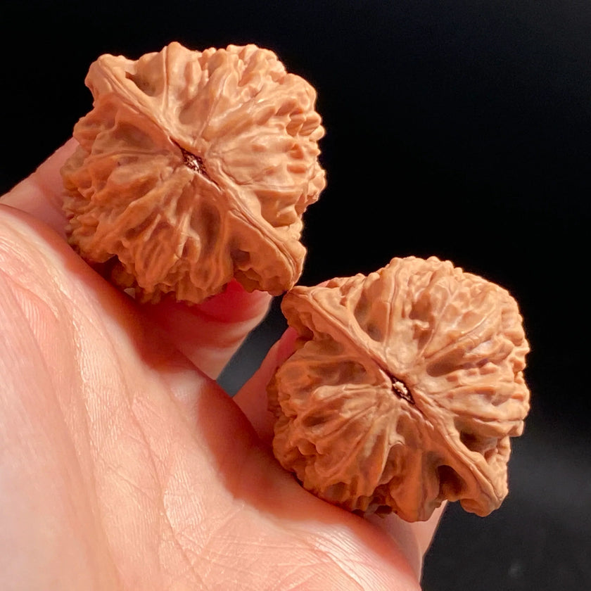 Old Tree Chicken Heart Wenwan Walnuts — One of the Four Famous Walnuts. Traditional Classic. Dense Structure. Stable Patina.