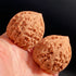 Old Tree Chicken Heart Wenwan Walnuts — One of the Four Famous Walnuts. Traditional Classic. Dense Structure. Stable Patina.
