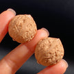 Mini Hand-Rolled Qiu Zi Walnuts — Compact Wild Mountain Walnuts. Raw Texture. Daily Carry. Natural Patina.