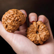Premium Natural Color Chinese Wenwan Walnut Pair — Stress Relief. Meditation. Natural Patina.