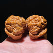 Yanqing Toad Head Playing Walnuts — Classic Popular Edition. Fast Color. Full Character. Ready to Play.