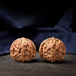 Premium Natural Color Chinese Wenwan Walnut Pair — Stress Relief. Meditation. Natural Patina.