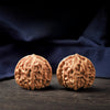 Premium Natural Color Chinese Wenwan Walnut Pair — Stress Relief. Meditation. Natural Patina.