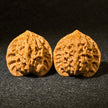 Prince Hat Wenwan Walnuts — One of the Four Famous Walnuts. Elegant Shape. Fast Patina. Daily Play.