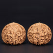 Premium Natural Color Chinese Wenwan Walnut Pair — Stress Relief. Meditation. Natural Patina.