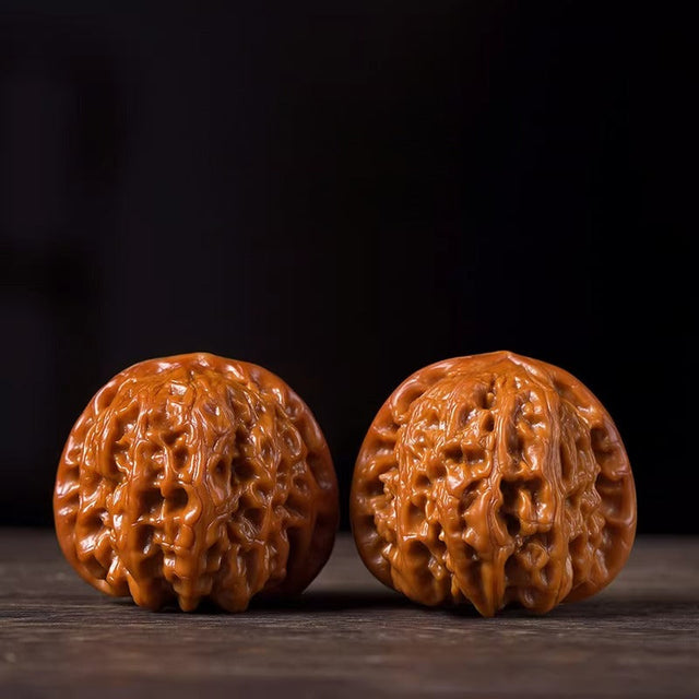 White Lion Head Playing Walnuts — Beginner Edition. Fast Color. Easy Start. Rewarding Patina.