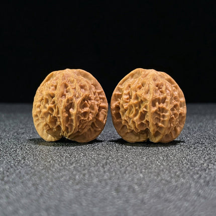 The 