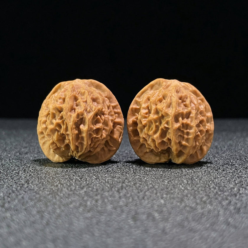 The 
